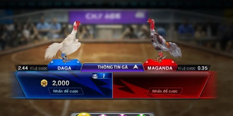 Nhà cái cập nhật thông tin chiến kê, tạo điều kiện tối đa cho thành viên